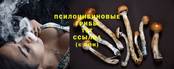 таблы Аркадак