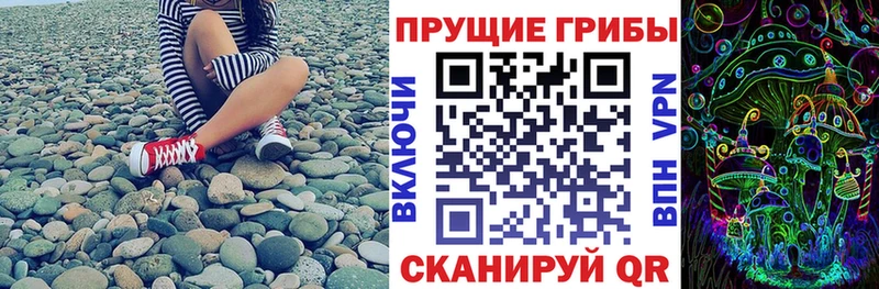 Псилоцибиновые грибы ЛСД  цены наркотик  Новохопёрск 